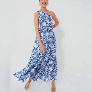 NWT Tuckernuck Botanica Blue and White Long Dress